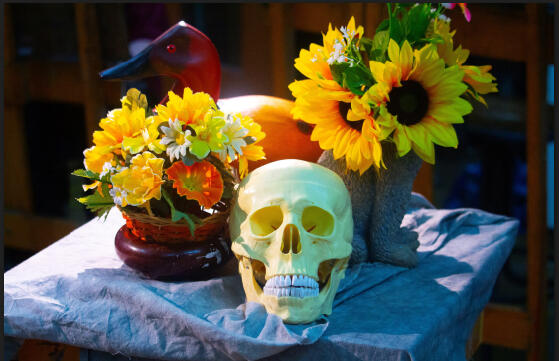 &quot;Rebirth&quot; (2025)